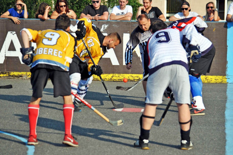 Hokejbalový titul mají Vosy