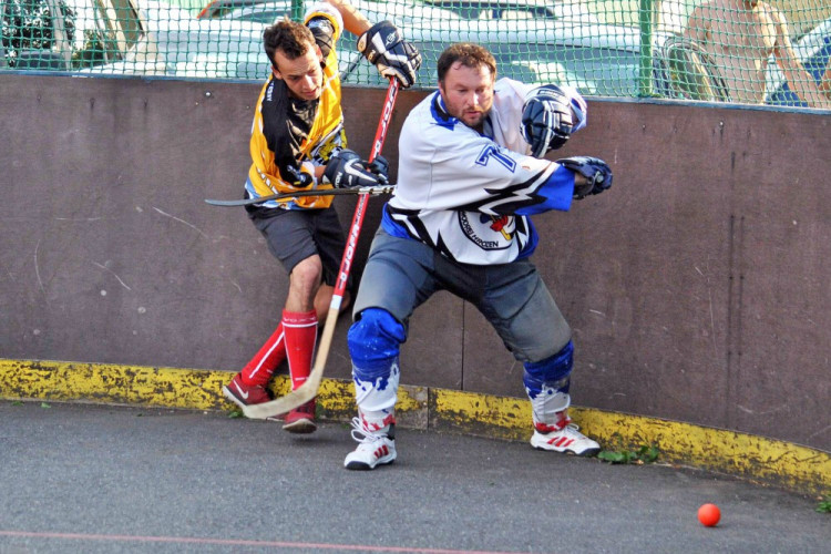 Hokejbalový titul mají Vosy