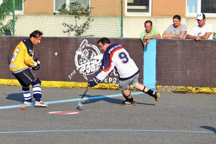 Hokejbalový titul mají Vosy