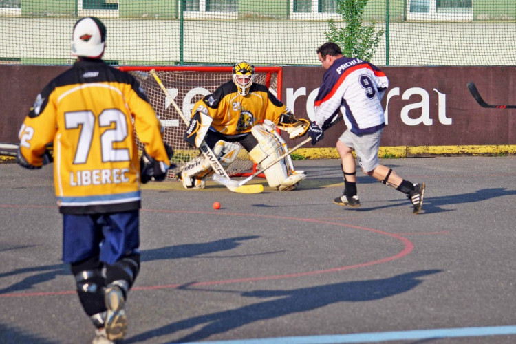 Hokejbalový titul mají Vosy