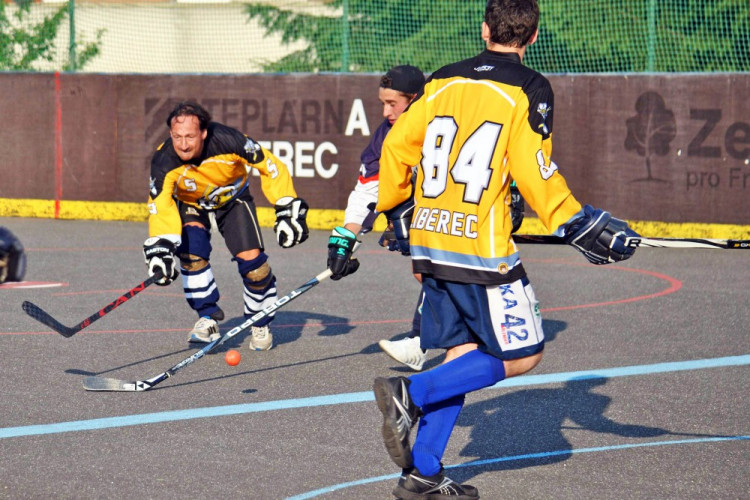 Hokejbalový titul mají Vosy