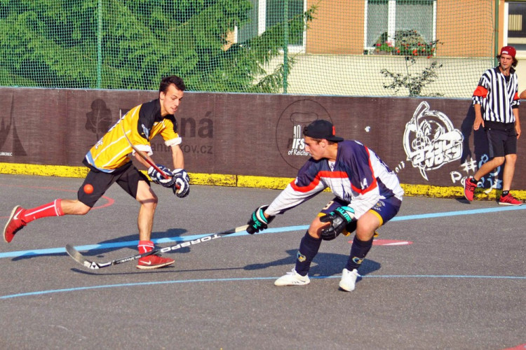 Hokejbalový titul mají Vosy