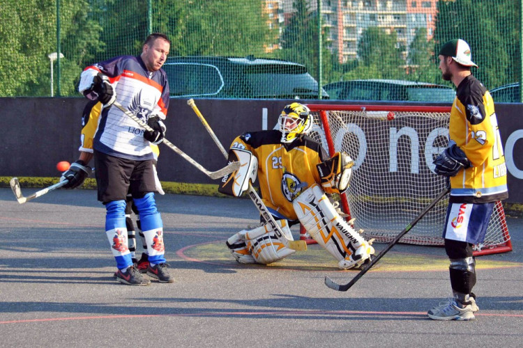 Hokejbalový titul mají Vosy