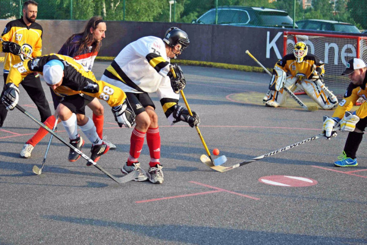 Hokejbalový titul mají Vosy