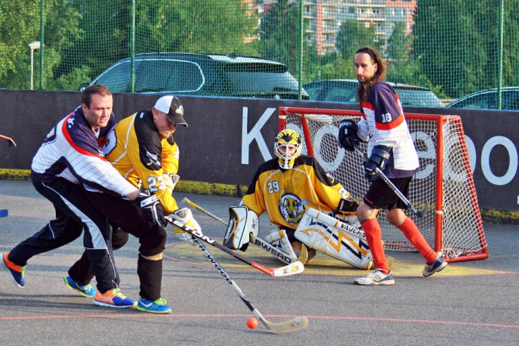 Hokejbalový titul mají Vosy