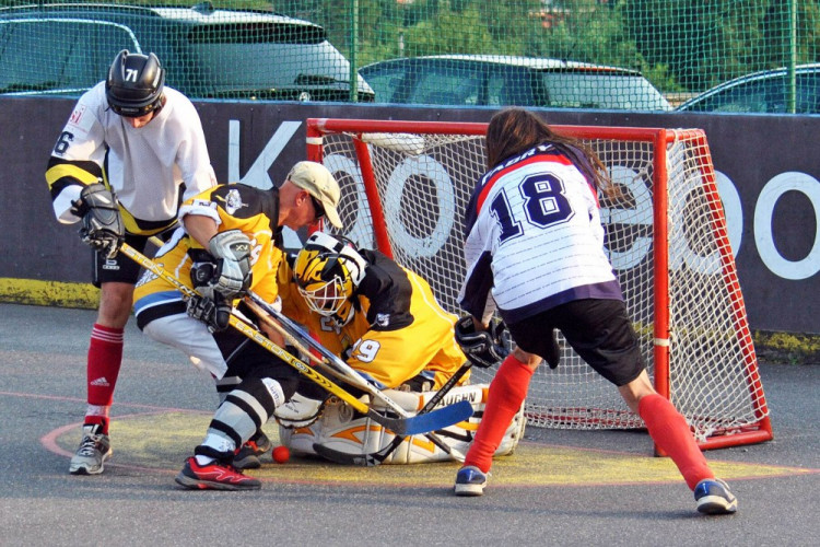 Hokejbalový titul mají Vosy