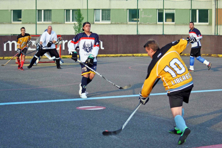 Hokejbalový titul mají Vosy