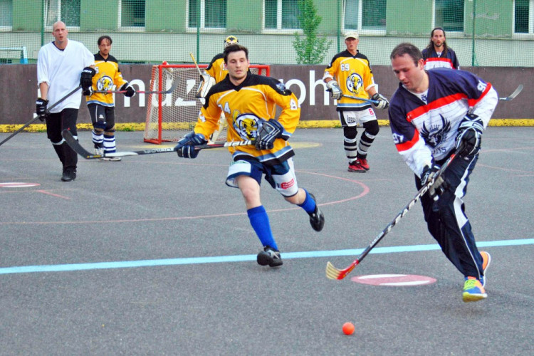 Hokejbalový titul mají Vosy