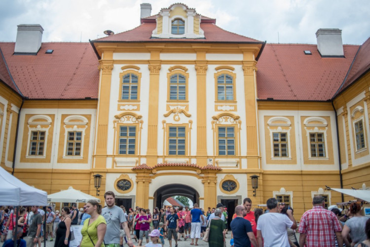 13. ročník Borůvkobraní