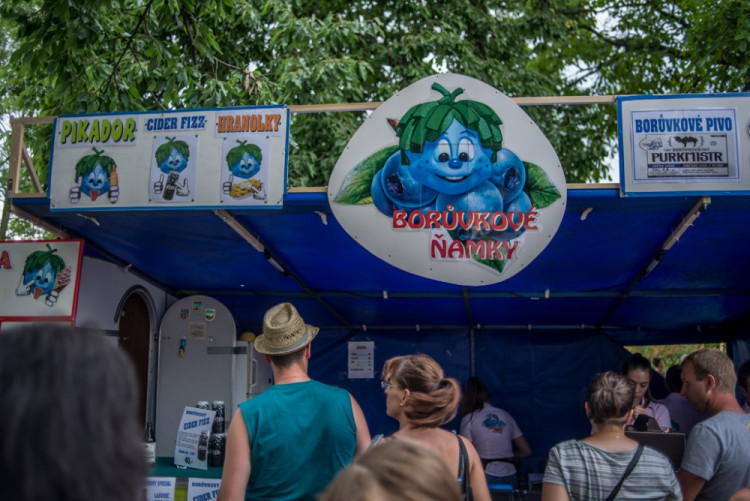 13. ročník Borůvkobraní