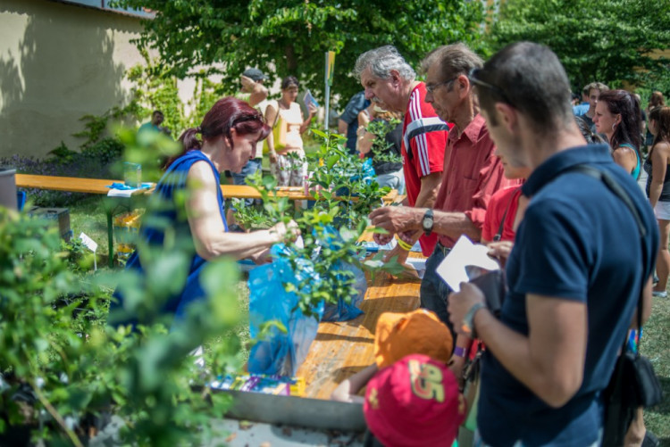 13. ročník Borůvkobraní