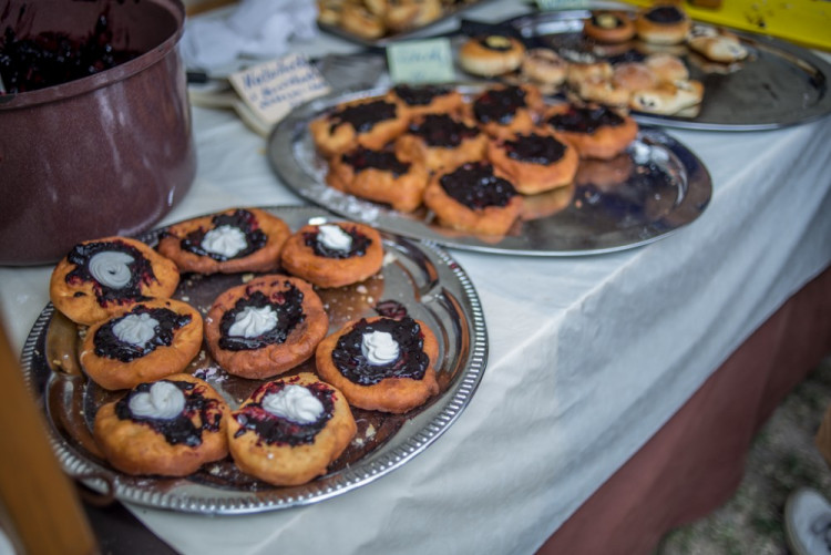 13. ročník Borůvkobraní