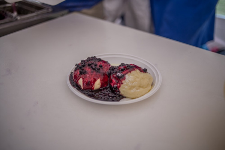 13. ročník Borůvkobraní