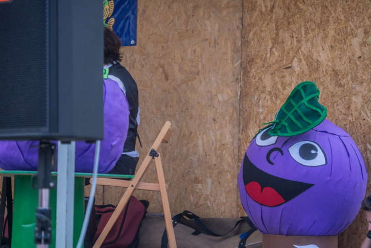 13. ročník Borůvkobraní