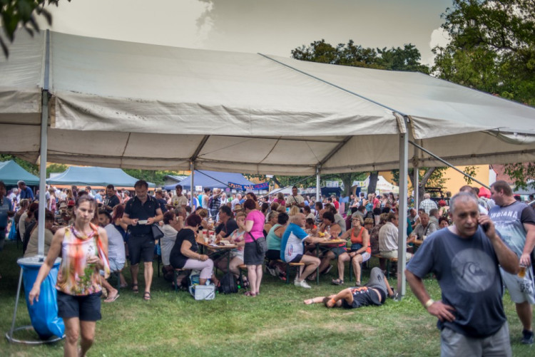 13. ročník Borůvkobraní