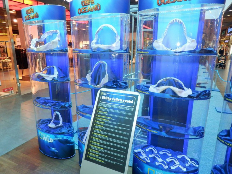 Výstava Obři oceánů v jihlavském City Parku