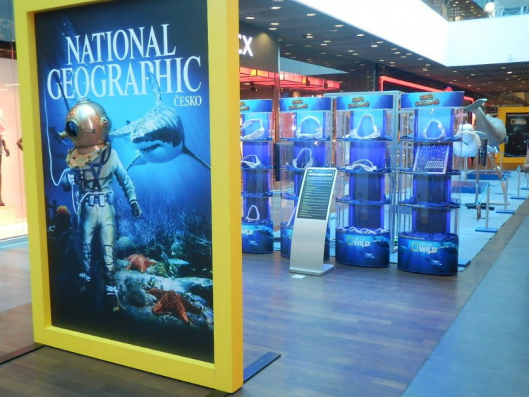 Výstava Obři oceánů v jihlavském City Parku