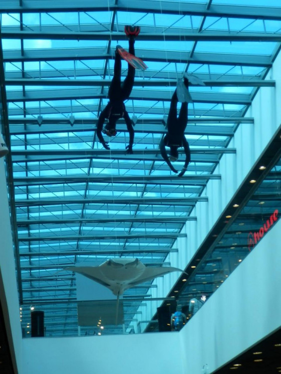 Výstava Obři oceánů v jihlavském City Parku