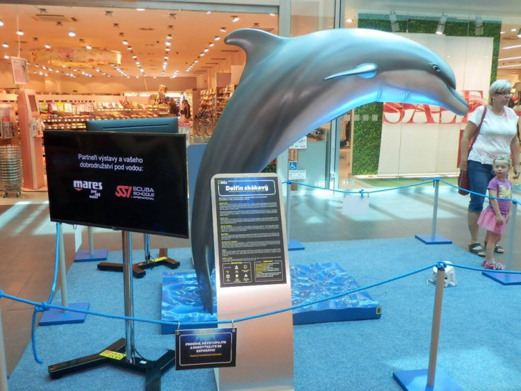 Výstava Obři oceánů v jihlavském City Parku