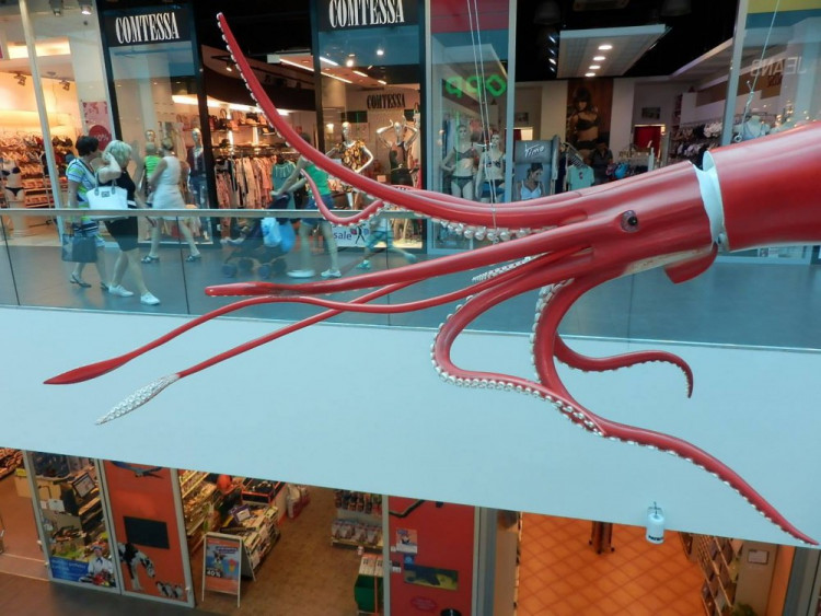 Výstava Obři oceánů v jihlavském City Parku