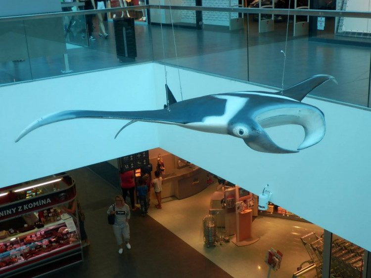 Výstava Obři oceánů v jihlavském City Parku