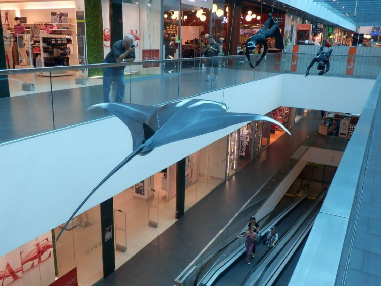 Výstava Obři oceánů v jihlavském City Parku