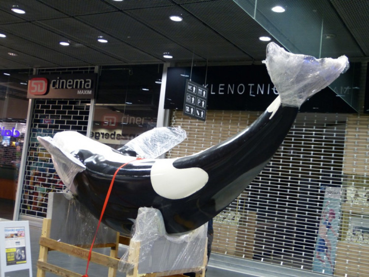 Z instalace výstavy 