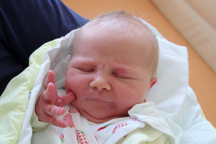 Konečná Beatrice Vivien