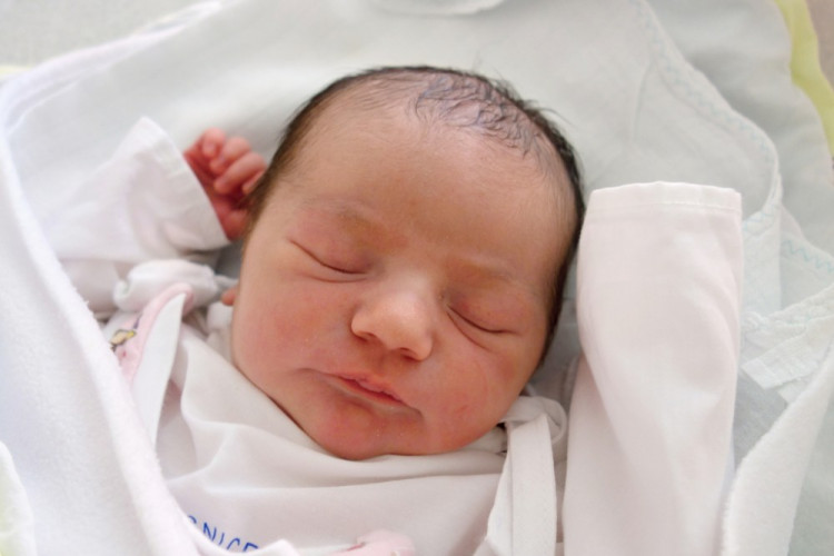 Krauskopfová Nikola