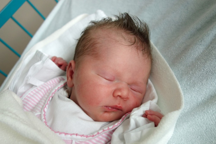 Štokingerová Nikola