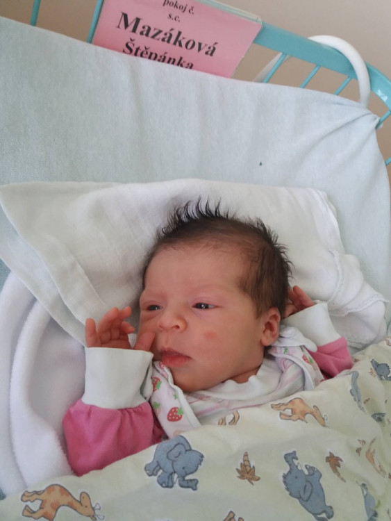 Štěpánka Mazáková