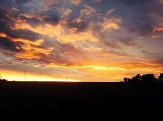 Foto: Marie Studená