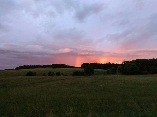 Foto: Markéta Kobernová