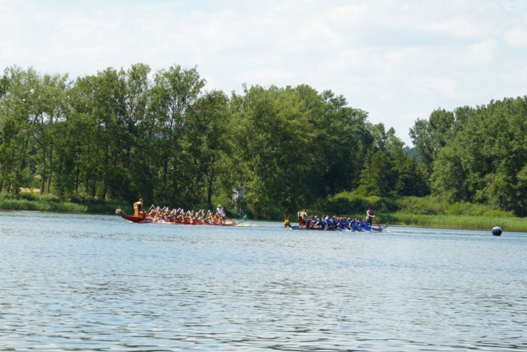 Závod dračích lodí v Telči 2017