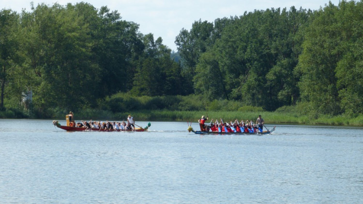 Závod dračích lodí v Telči 2017