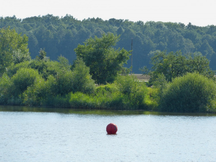 Závod dračích lodí v Telči 2017