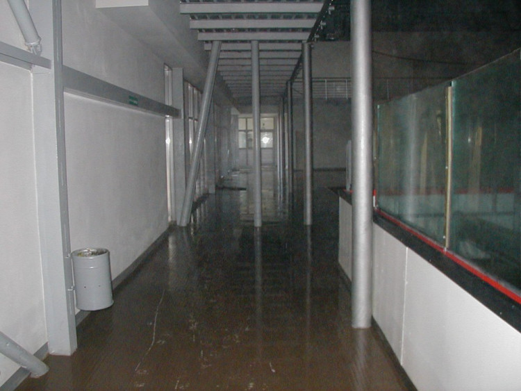 Povodeň 2002: Ledová plocha Budvar arény byla pod vodou