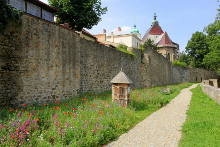Letničky v Jihlavě