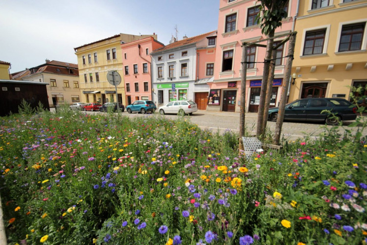 Letničky v Jihlavě