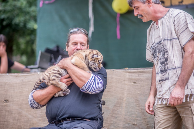 Křest tygra ussurijského. Herec Jan Potměšil mu dal jméno Othello