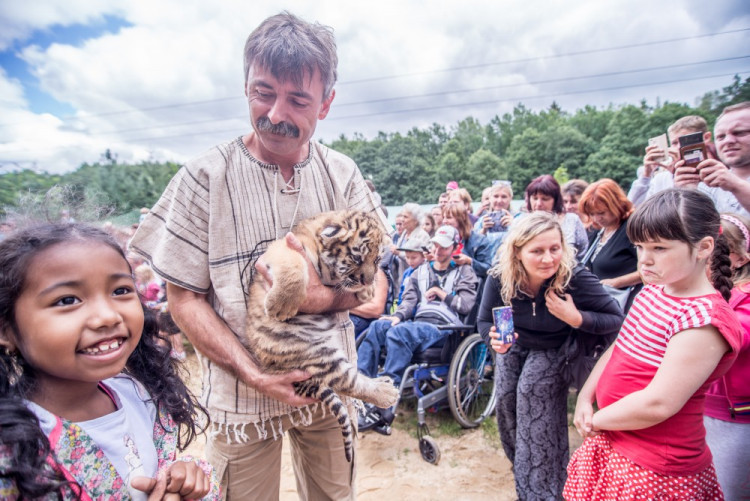 Křest tygra ussurijského. Herec Jan Potměšil mu dal jméno Othello