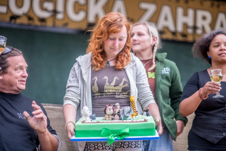 Křest tygra ussurijského. Herec Jan Potměšil mu dal jméno Othello