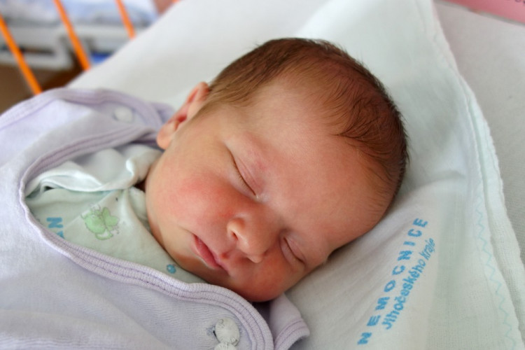 Kmochová Anna Marie