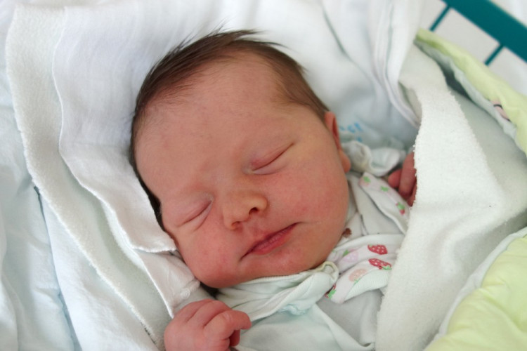 Šmidáková Alexandra