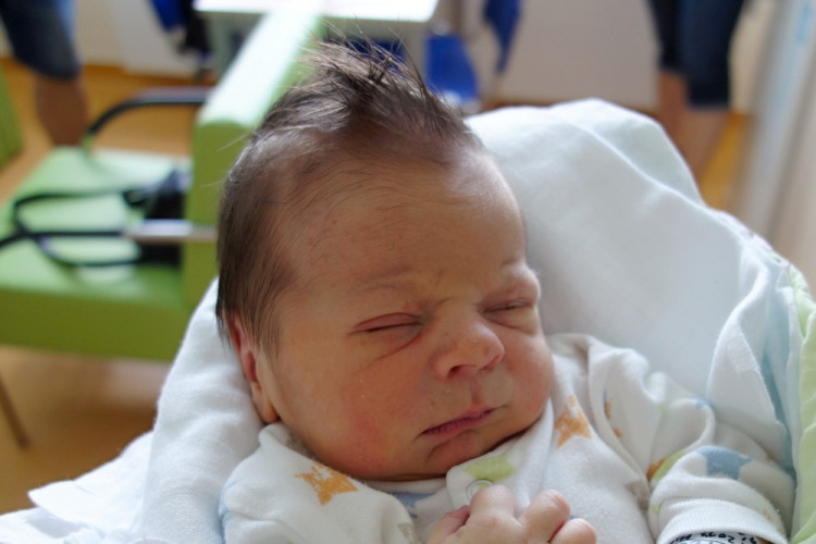 Václavíček Mikuláš