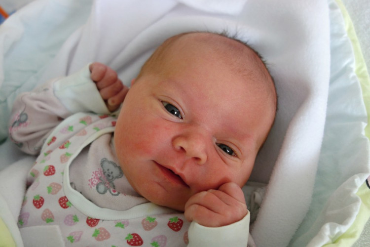 Havránková Šárka