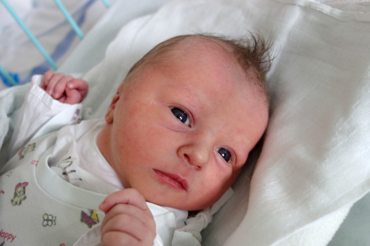 Bednářová Viktorie