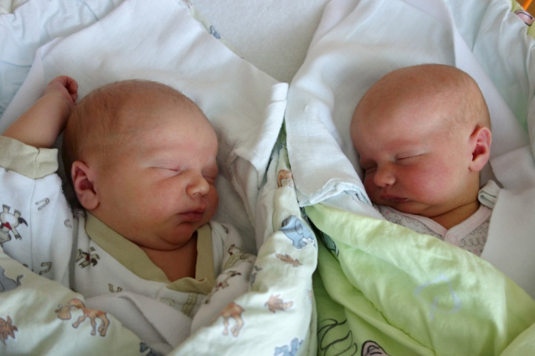 Čečelovský Štěpán, Čečelovská Sofie