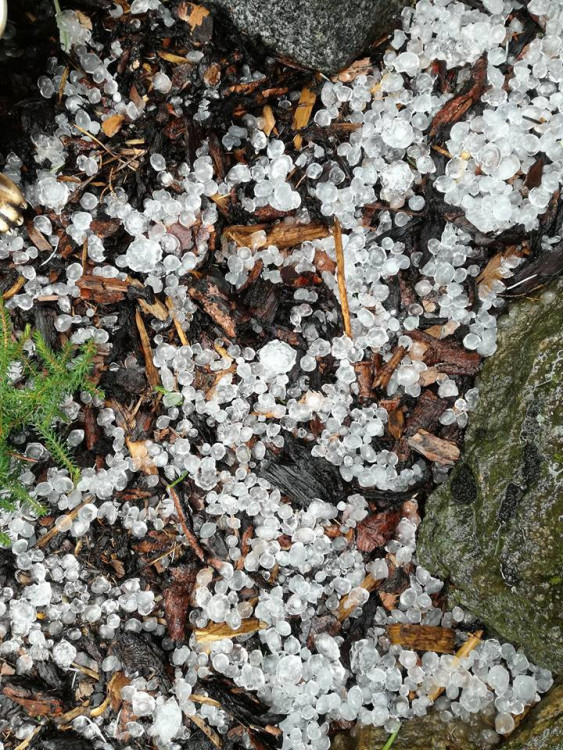 Kroupy z nedělní bouřky