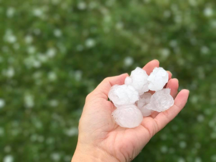 Kroupy z nedělní bouřky